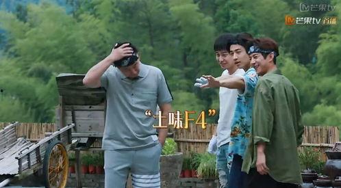 在线观看向往的生活1